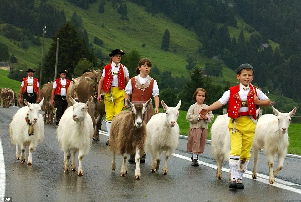 Народы германии и их основные занятия. Швейцария население швейцарцы. Йодль Швейцария. Йодль Швейцария пастухи. Национальные традиции Швейцарии.