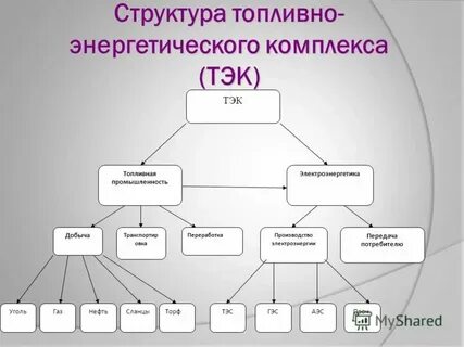 В структуре топливно энергетического комплекса