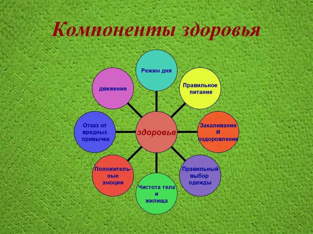 5 составляющих здоровья. Компоненты здоровья. Составляющие компоненты здоровья. Перечислите составляющие здоровья. Компоненты здоровья схема.