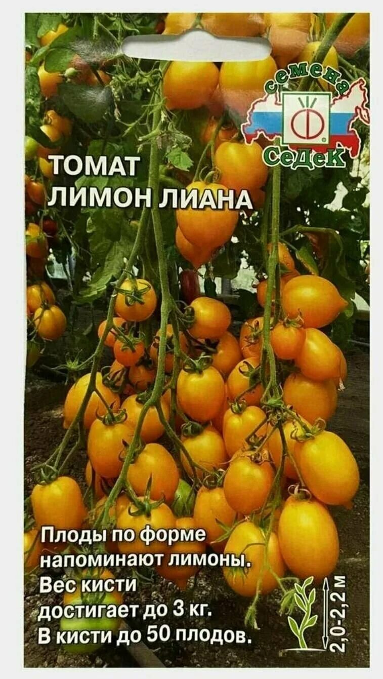 Семена томат Чудо света Русский огород 58092 - характеристики и описание на Мега