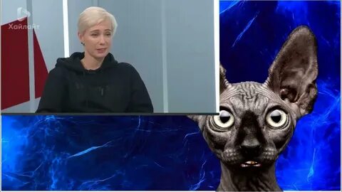 Видео кота костяна