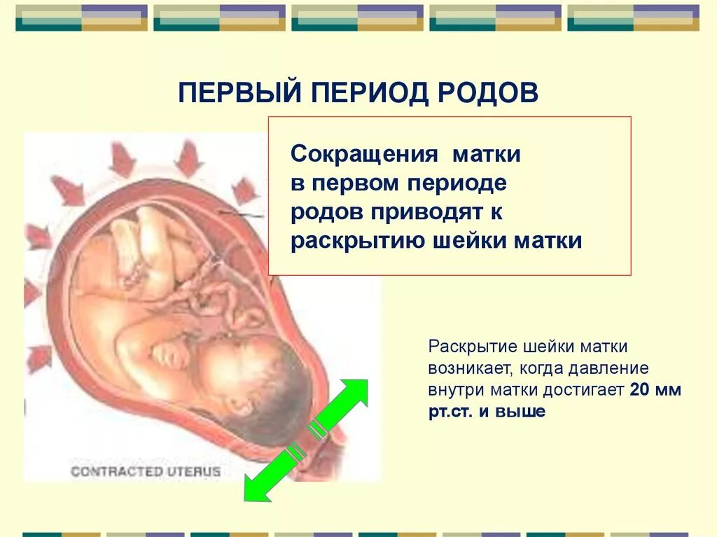 После первого рода