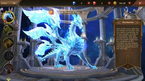 Dragon storm