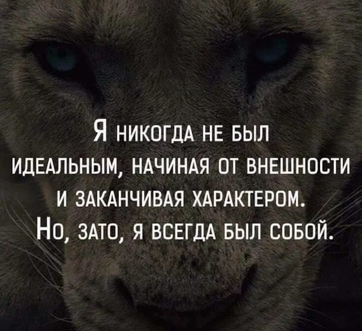 Статусы. Статусы со смыслом. Статусы в картинках. Цитаты о себе. Цитаты на аватарку