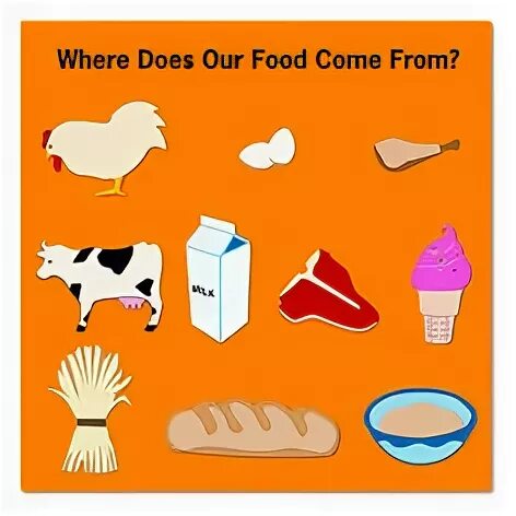Where each come from where. Where does our food come from?. where does food come from worksheet. where is food from for kids. where does the food come from for kids.