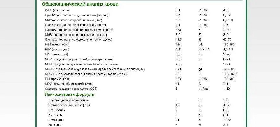 Кровь сегментоядерные повышены у ребенка. Общий анализ крови расшифровка lymph. Обозначения в анализе крови расшифровка нейтрофилы. Расшифровка анализа крови lymph. Лейкоциты анализ крови расшифровка.
