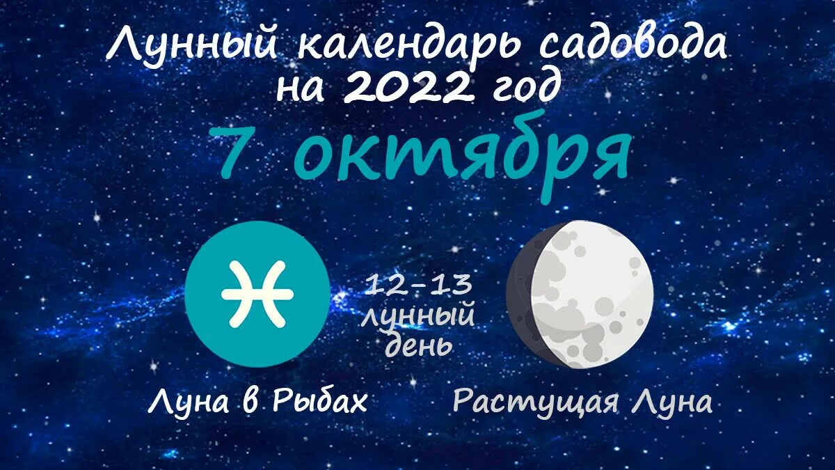 7 день луны. Растущая 13 лунный день. Растущая Луна, 13 лунный день. Растущая Луна 8 лунный день. Растущая Луна, 14 лунный день.