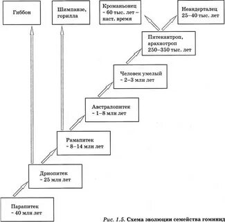 Схема развития ответ
