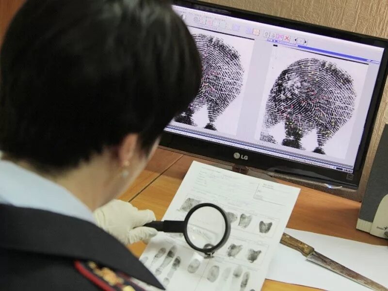 виды следственных экспертиз в уголовном процессе. судебная экспертиза преступников. судебная экспертиза в уголовном судопроизводстве. основания назначения судебной экспертизы по уголовным делам. полиция следователи и криминалисты.