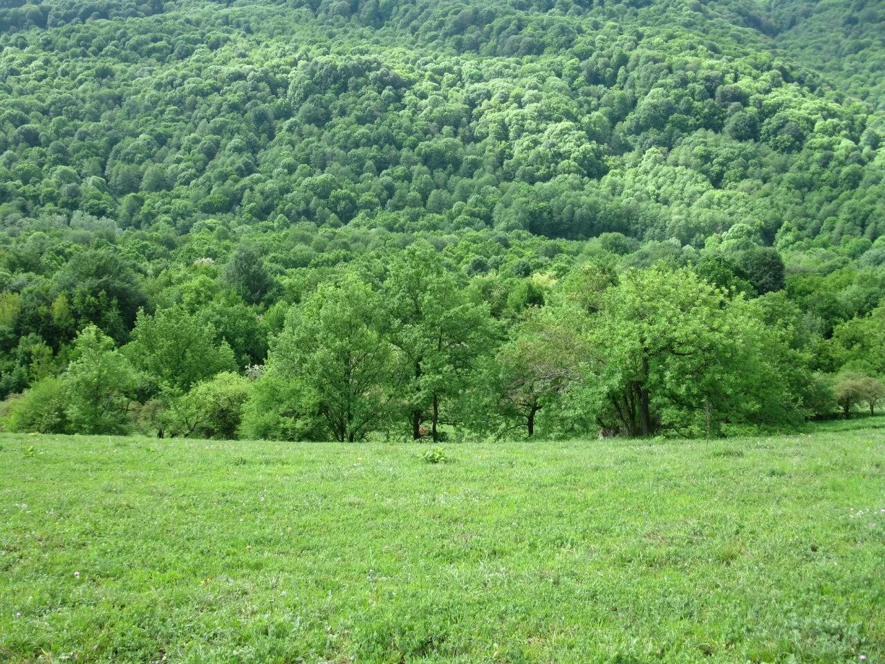 Малиновская мостовской район. Никитино мостовский район краснодарского края. Участки в мостовском краснодарского. Поселок мостовской природа. Станица бесленеевская мостовской район краснодарского края.