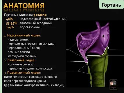 Клинические рекомендации гортань