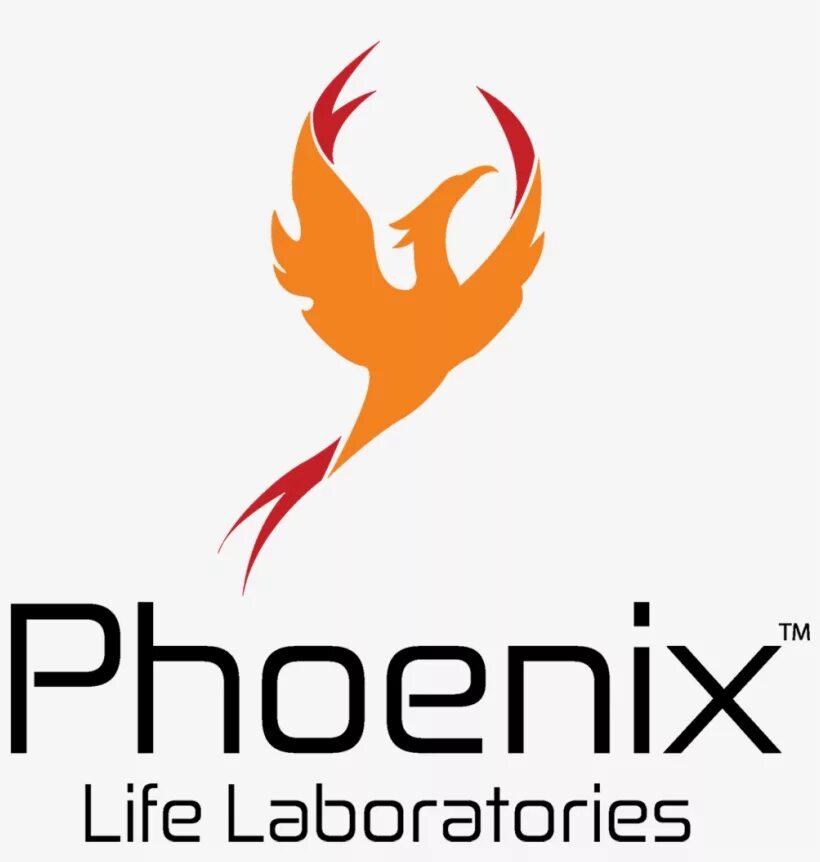 Phoenix forums