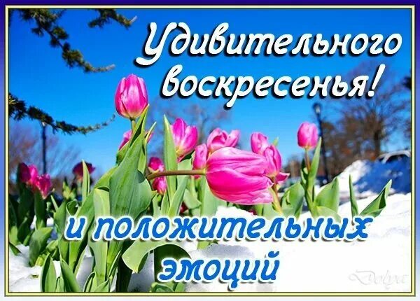 Открытки с мартовским воскресеньем. Хорошей субботы весной. Доброго весеннего дня. Отличной весенн субб. Доброго субботнего дня весной.