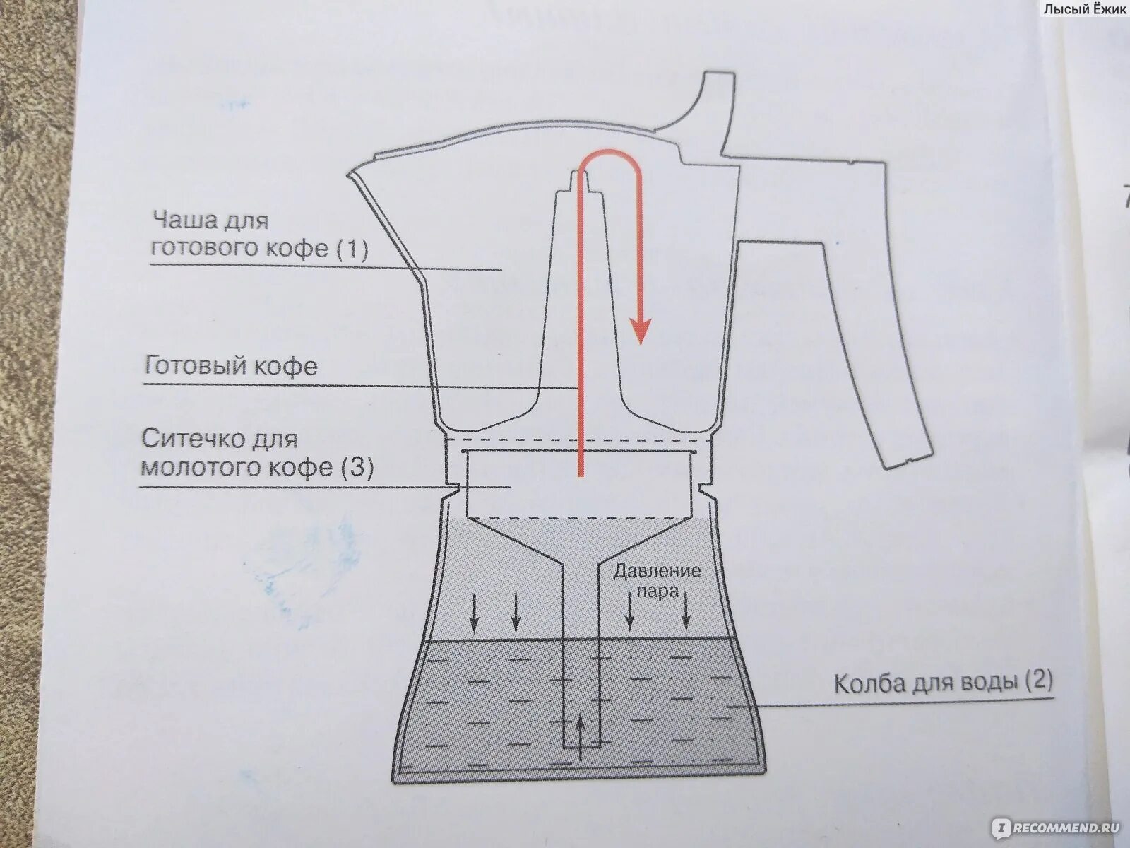 Гейзерная кофеварка применение. Гейзерная кофеварка принцип работы. Кофеварка гейзерная Pedrini 1942. Гейзерная кофеварка принцип. Гейзерная кофеварка принцип приготовления кофе.