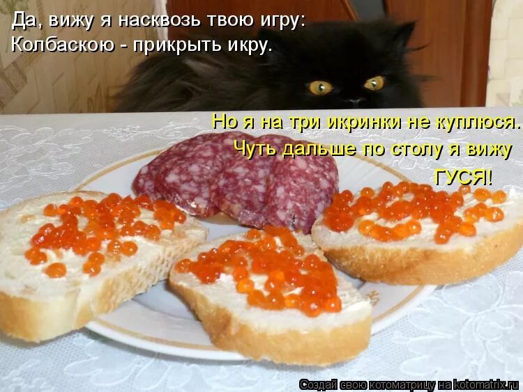 вижу я насквозь твою. я вижу тебя насквозь мем. хлеб с икрой гостям. вижу я насквозь твою. вижу я насквозь твою.