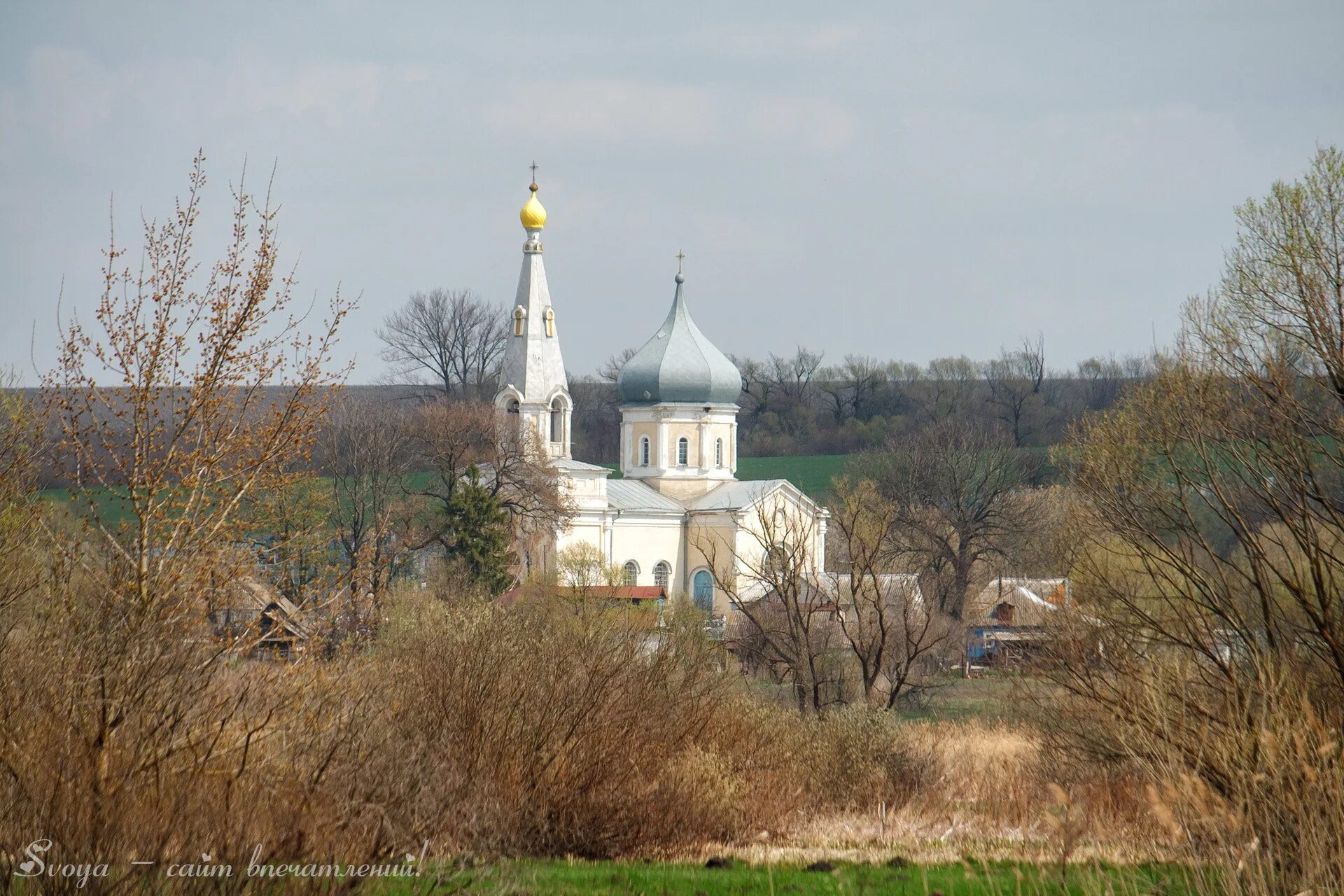 Льгов храм Дмитрия Солунского. Храм Дмитрия Солунского Курская область Большесолдатский район. Старообрядческая Церковь Дмитрия Солунского Льгов. Дмитрия Солунского Льгов.