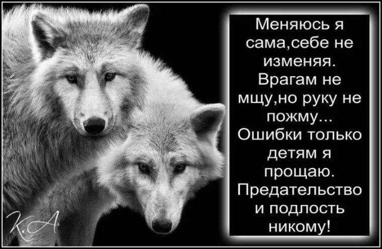 Предательство вк. Подлость и предательство. Цитаты про подлость и предательство близких людей. Цитаты про подлость людей и предательство. Высказывания о подлости и предательстве.