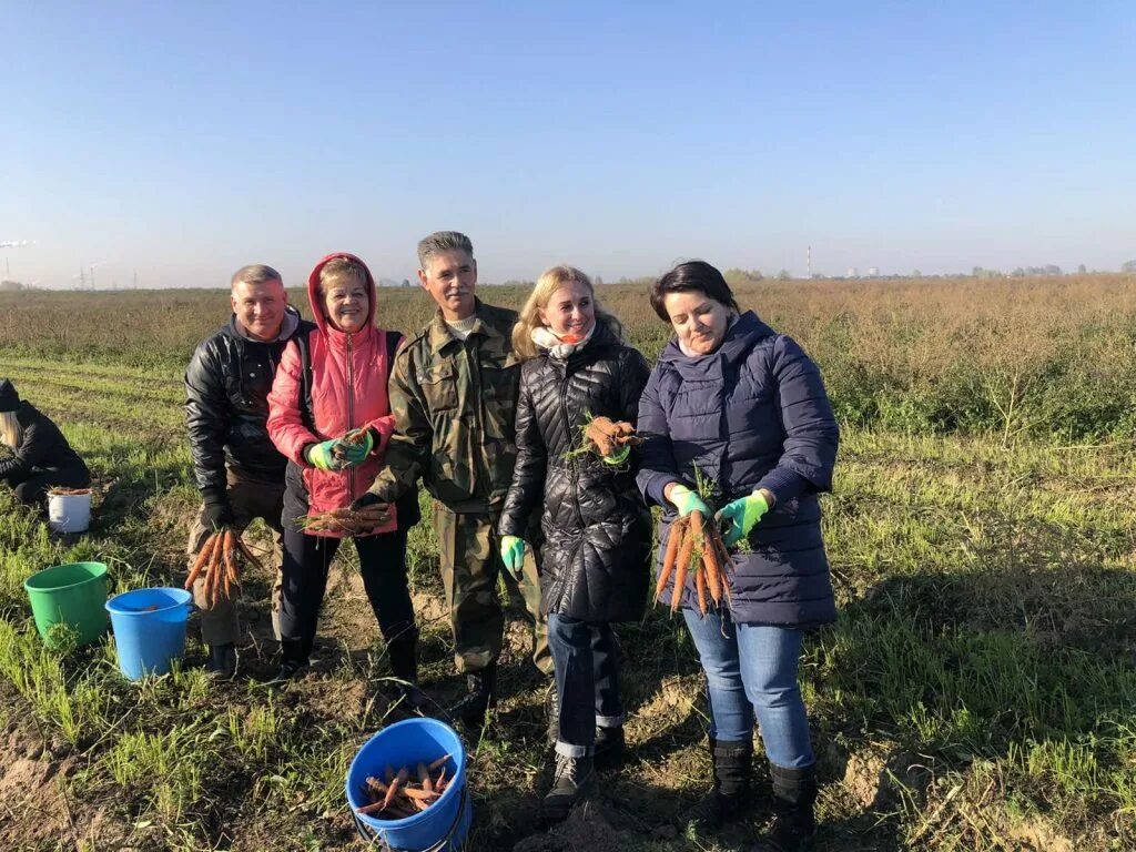 Соберем урожай вместе