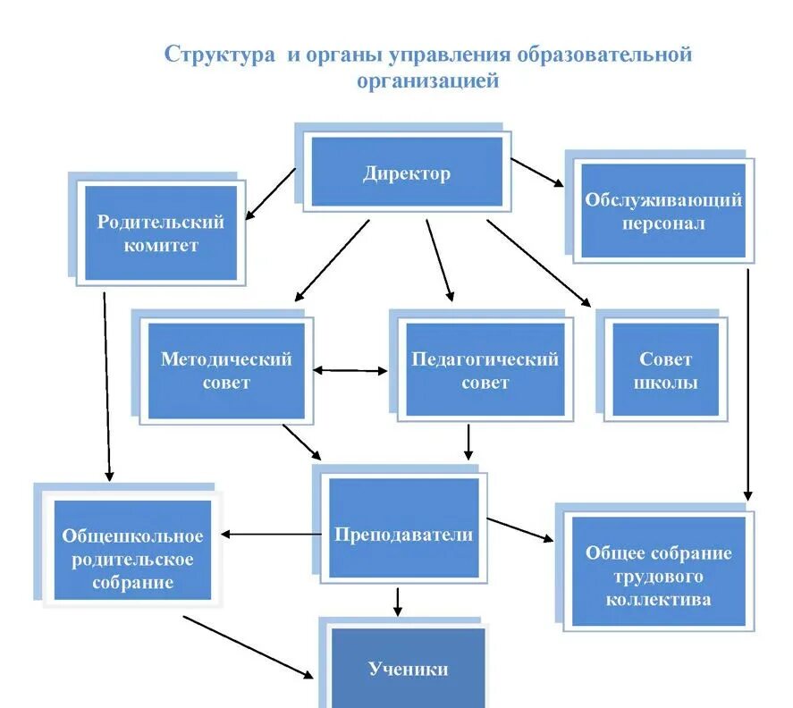 Схема организационная структура учебного заведения школы. Организационная структура образовательного учреждения схема. Структура компании адидас схема управления. Структура управления образовательной организацией схема. Схема организационной структуры управления организации.