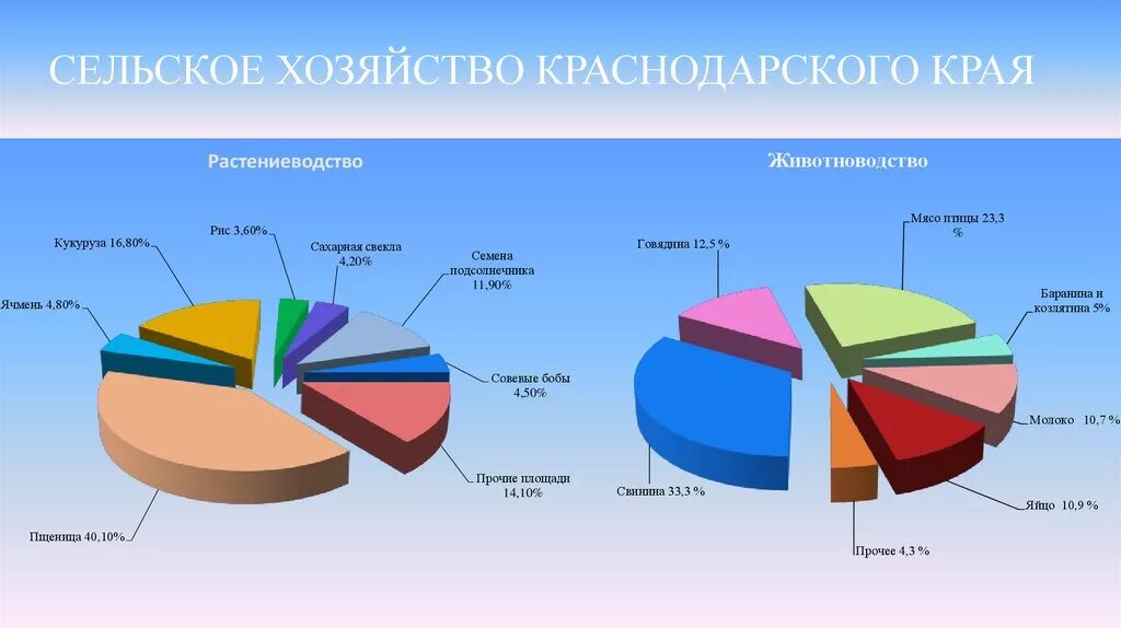 Диаграмма пищевой промышленности Краснодарского края. Сельское хозяйство Красноярского края диаграмма. Краснодарский край сельское хозяйство диаграмма. Структура сельского хозяйства Краснодарского края. Основные отрасли краснодарского края