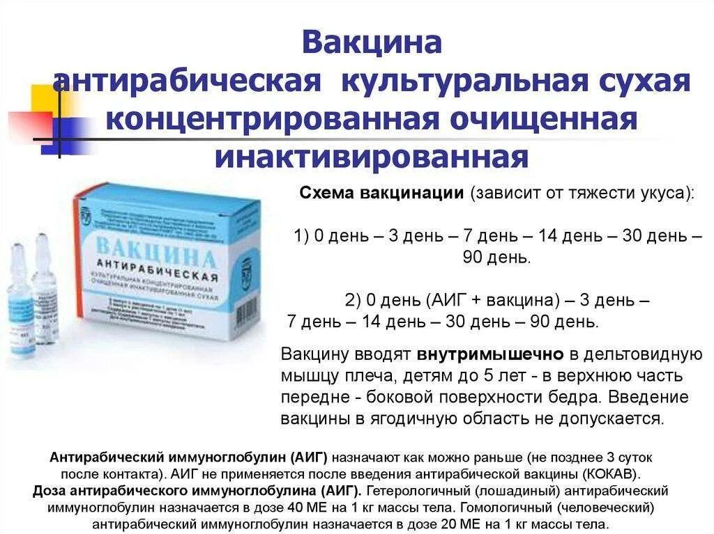 Схема вакцинации антирабической вакциной при укусе животных. Вакцина бешенство схема вакцинации. Схема введения антирабической вакцины после укуса. Бешенство схема прививок от бешенства. Иммуноглобулин от бешенства