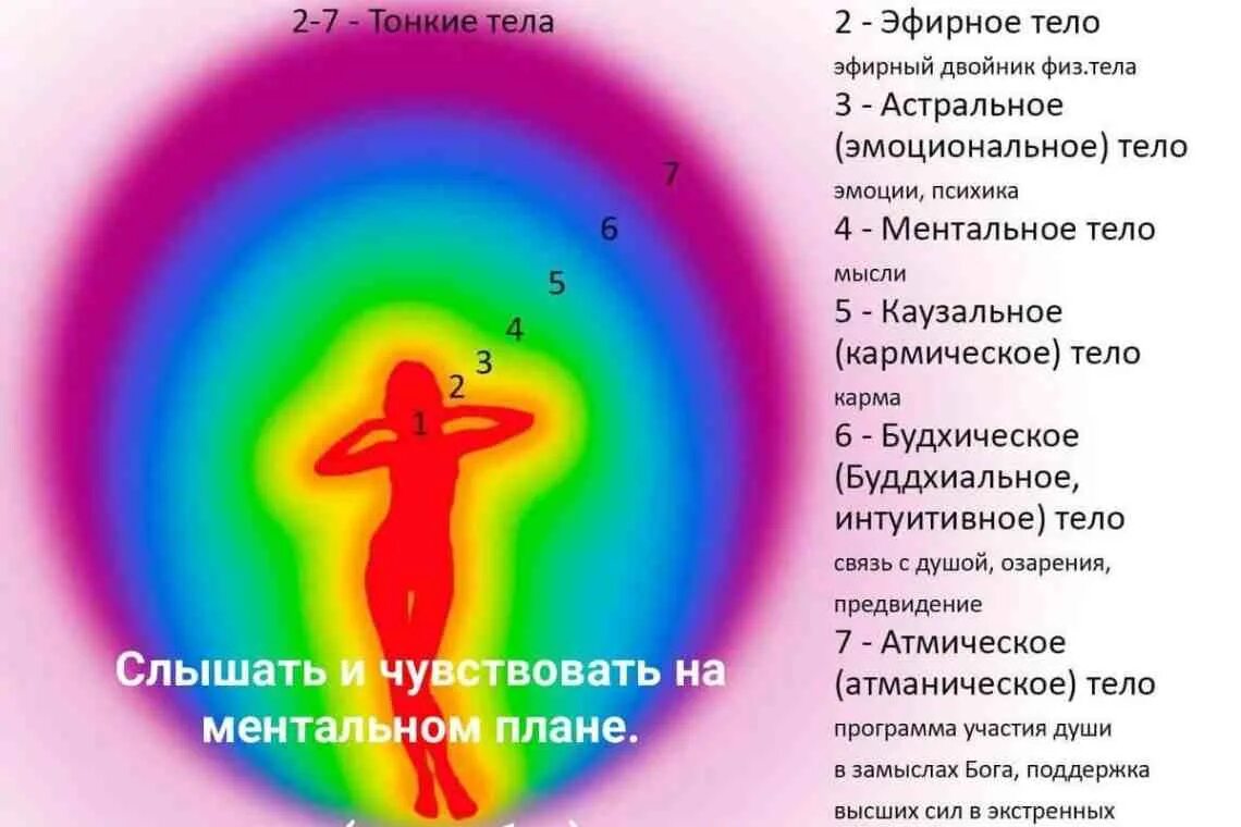 Эфирный человек это что. Структура тонких тел человека. Энергетика аура человека. Тонкие тела человека. Эфирный человек это что.