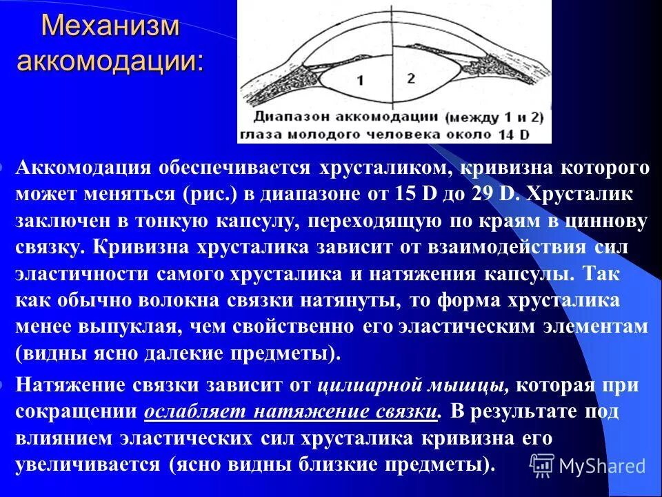 Аккомодация за счет. Аккомодация физиология зрения. Механизм аккомодации глаза анатомия. Механизм сужения зрачка при аккомодации. Аккомодация глаза. Механизмы аккомодации глаза.