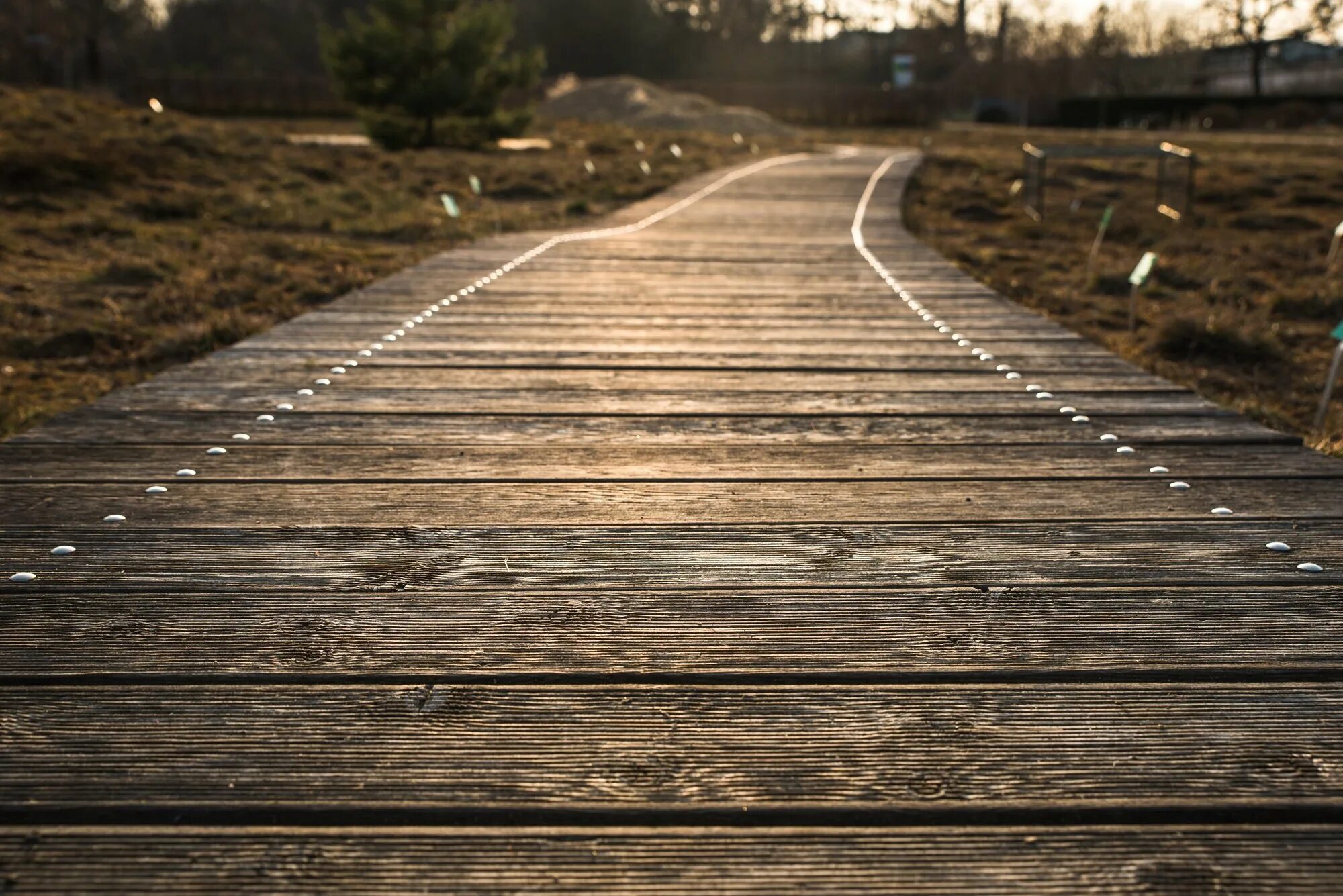 Path texture