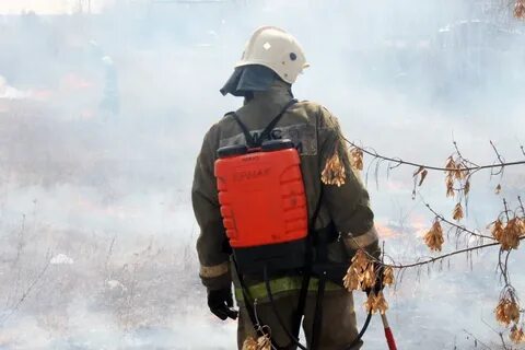 Регистрация мчс