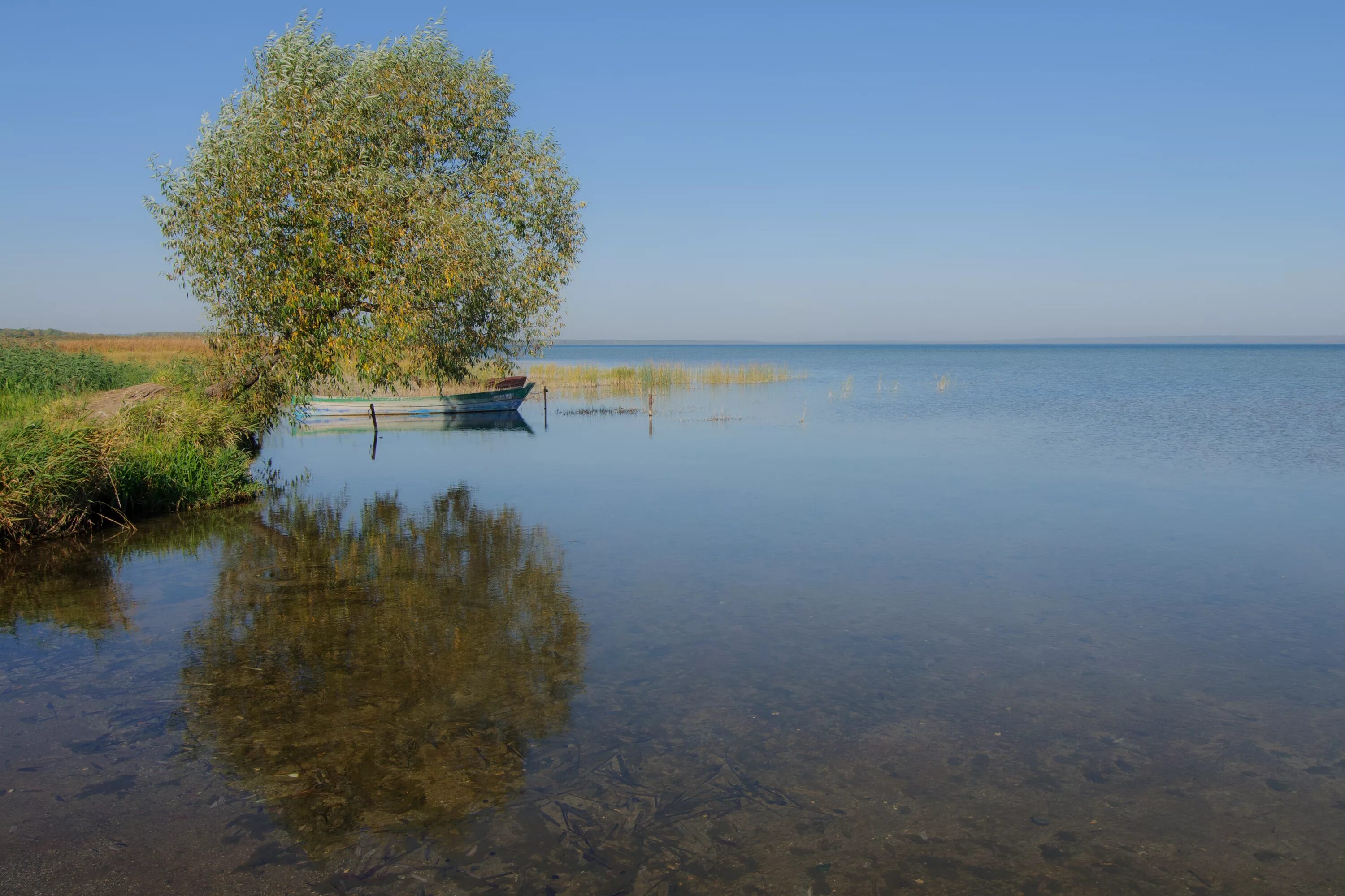 Плещеево озеро Переславль Залесский. Национальный парк Плещеево озеро Переславль Залесский. Озеро Плещеево в Переславле-Залесском рыбалка. Ярославль Плещеево озеро. Плещеево озеро область