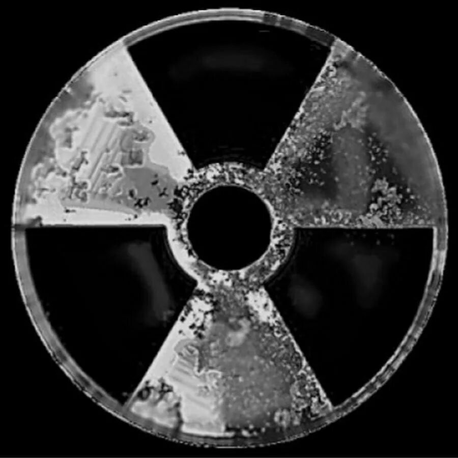 Иконки для anomaly. Сталкер значок. Значок сталкер Зов Припяти. Значок радиации сталкер Зов Припяти. Сталкер 2 значок