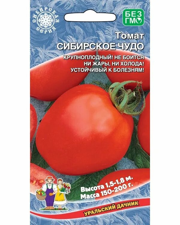 Помидоры сибирское чудо описание отзывы