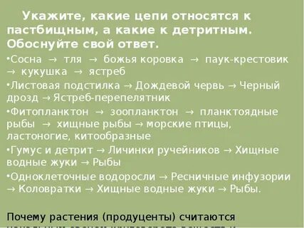 Укажите какая цепь