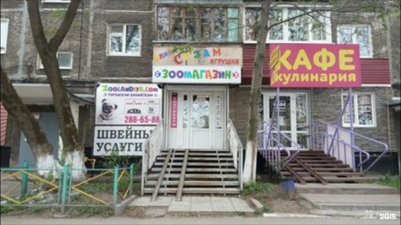 Сниму пермь. Чернышевского 19 пермь. зоомагазин краснокамск. зоомагазин краснокамск большевистская 14. чернышевского 2 пермь.