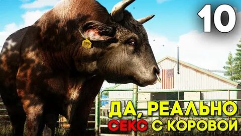 Быка 5