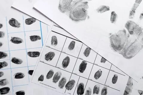 Отпечатки пальцев полиция