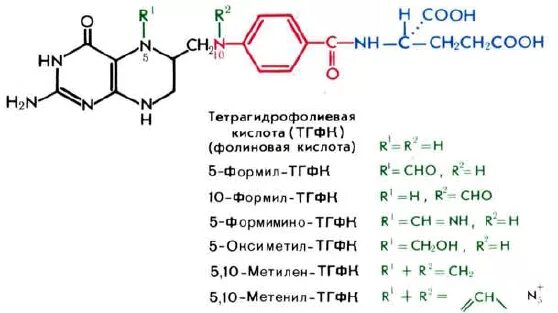 Фолиевая кислота ТГФК. Тетрагидрофолиевая кислота формула. Фолиевая кислота реакции биохимия. Витамин б9 фолиевая кислота формула.