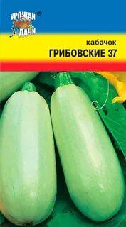 Кабачки вкус гриба