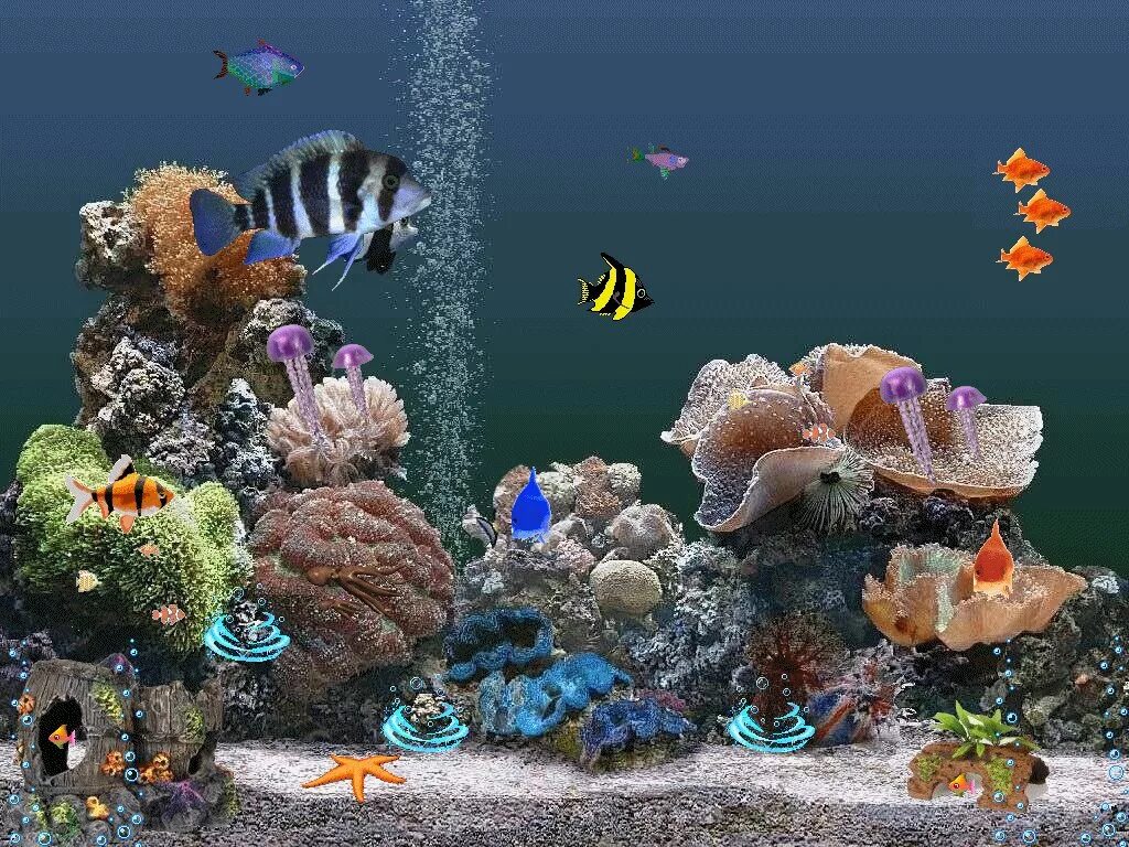 Живые рыбки. Живой аквариум. Аквариум 3д. Скринсейвер рыбки.