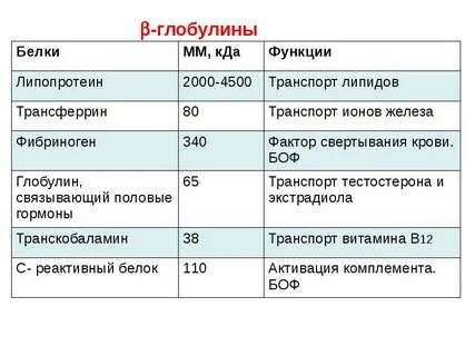 Бета 1 глобулин