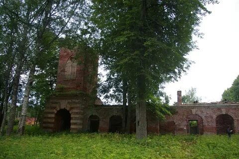 Ленинградский редкино