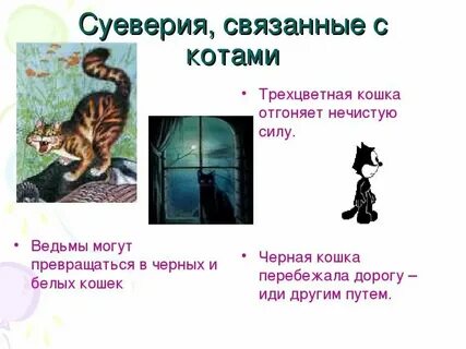 Почему кошка пришла