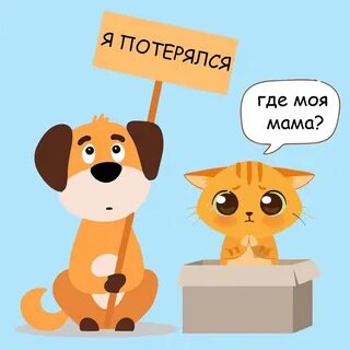 Ищем зверей