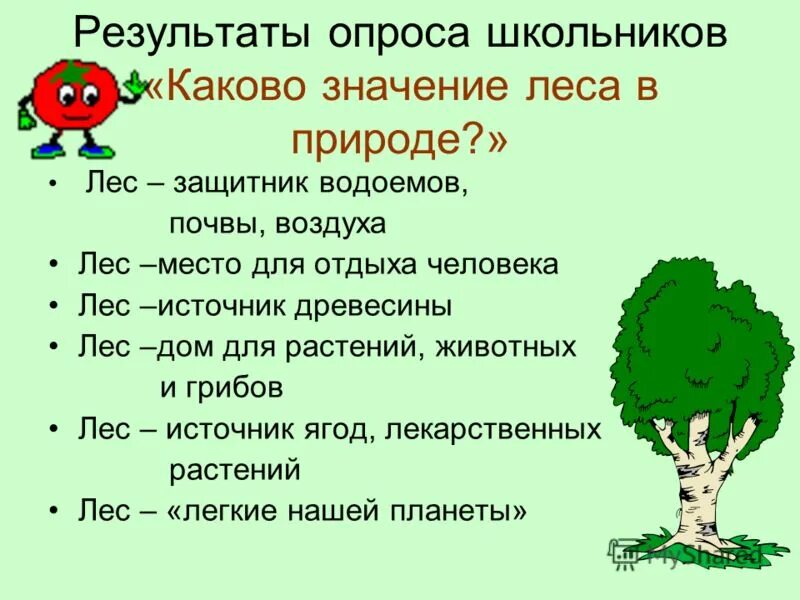 Значение лесов в природе и жизни человека. Значение леса в природе. Роль леса в природе и жизни людей. Роль леса в жизни человека.