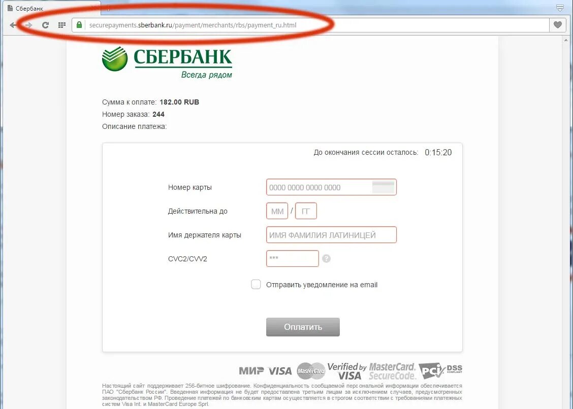 Страница оплаты Сбербанк. Платежная страница Сбербанка. Платежная форма для сайта. Страница оплаты для сайта.