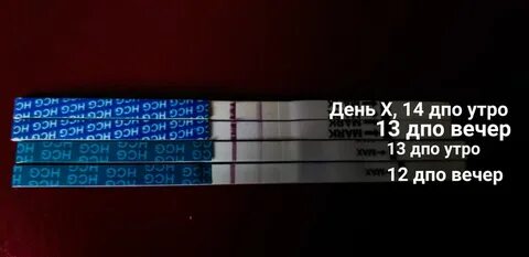 Ответы дпо