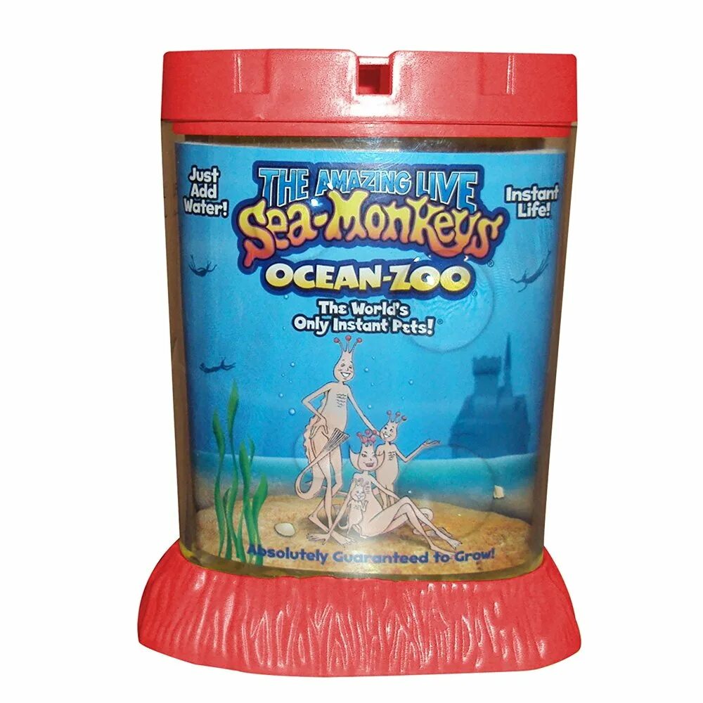 Сиа манкис. SEAMONKEY аквариум. Водные обезьянки в аквариуме. Морские обезьянки. Морские обезьянки купить