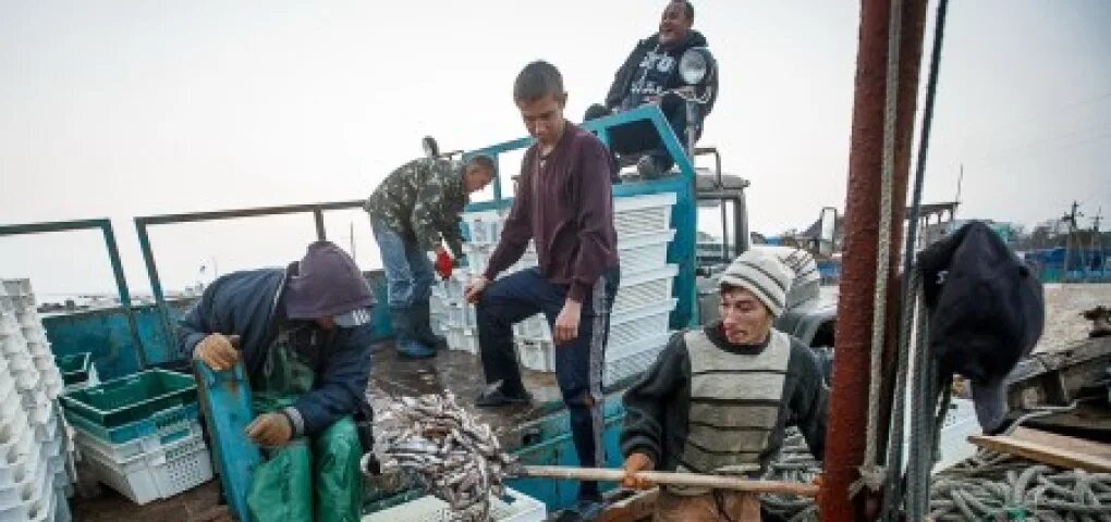 Украина разрыв. Азовское море аврал. ДНР намерена восстановить рыбный промысел в Азовском море. Занятость в сфере рыболовства.