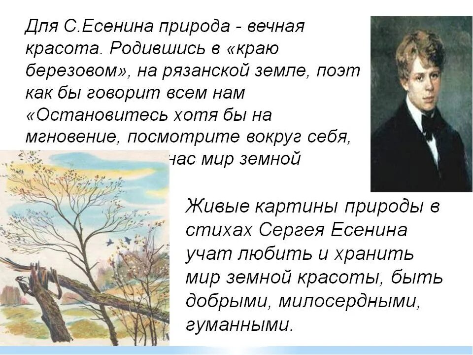Стихи есенина о природе. Природа в лирике есенина. Иллюстрации есенинская русь. Есенин тема природы. Стихи есенина о природе.