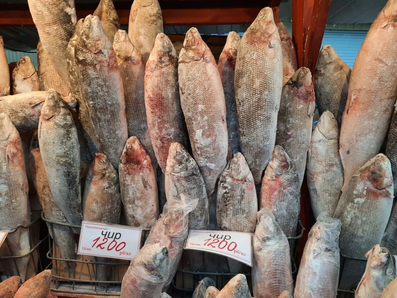 Якут рыба. Рыбы Якутии. Крестьянский рынок. Якутская рыба названия. Рыба из Якутии.